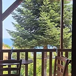 公寓 卡斯塔尼亚吉酒店 帕莱斯潘蒂雷蒙