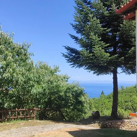 Kastania Gi