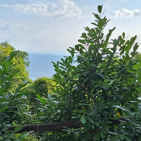 Kastania Gi Διαμέρισμα Παλαιός Παντελεήμων