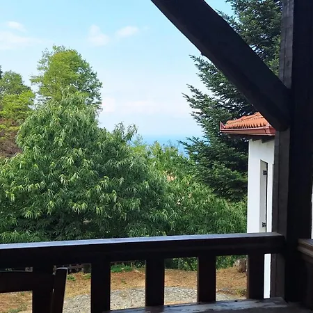 Kastania Gi
