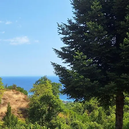 Apartamento Kastania Gi *