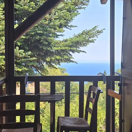 Kastania Gi *